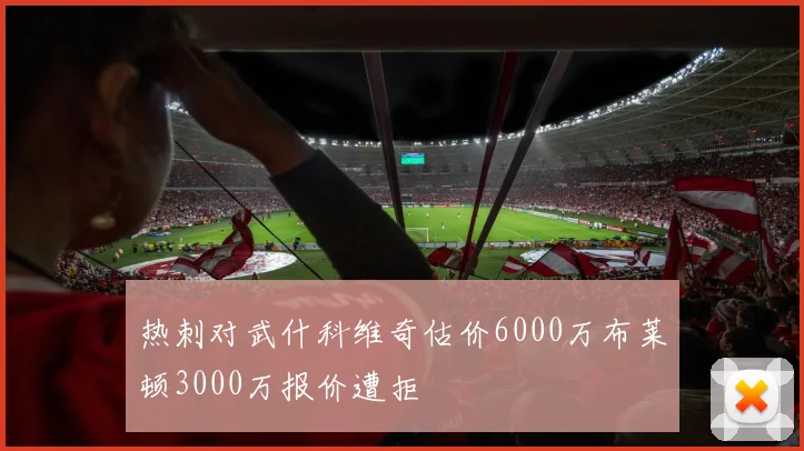 热刺对武什科维奇估价6000万布莱顿3000万报价遭拒