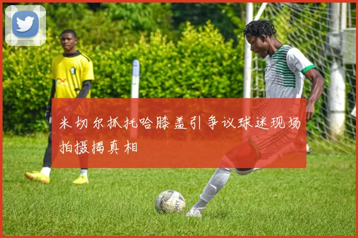 米切尔抓托哈膝盖引争议球迷现场拍摄揭真相